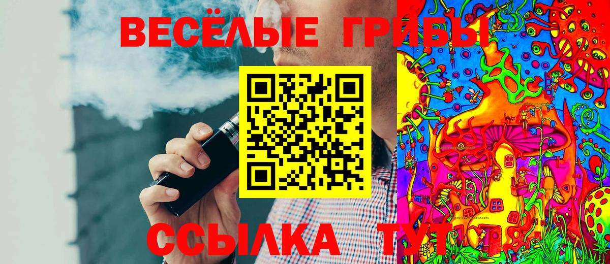 купить наркотик  Псилоцибиновые грибы мухоморы  Вход с VPN  Ступино 